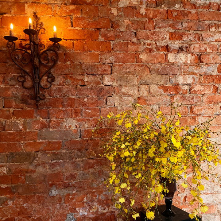 【我种花】AAA级春樱黄色腊梅长花期鲜切花氛围感花材云南直发