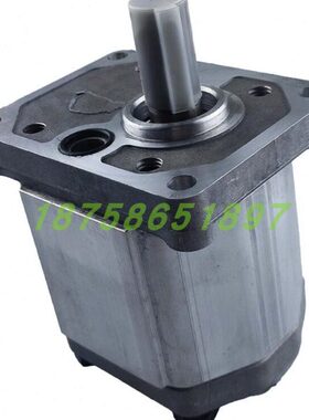 Boden齿轮泵BAP2B15D25C2L10-B/D20C2L10-B/D28C2L10-B/D30C2L10B