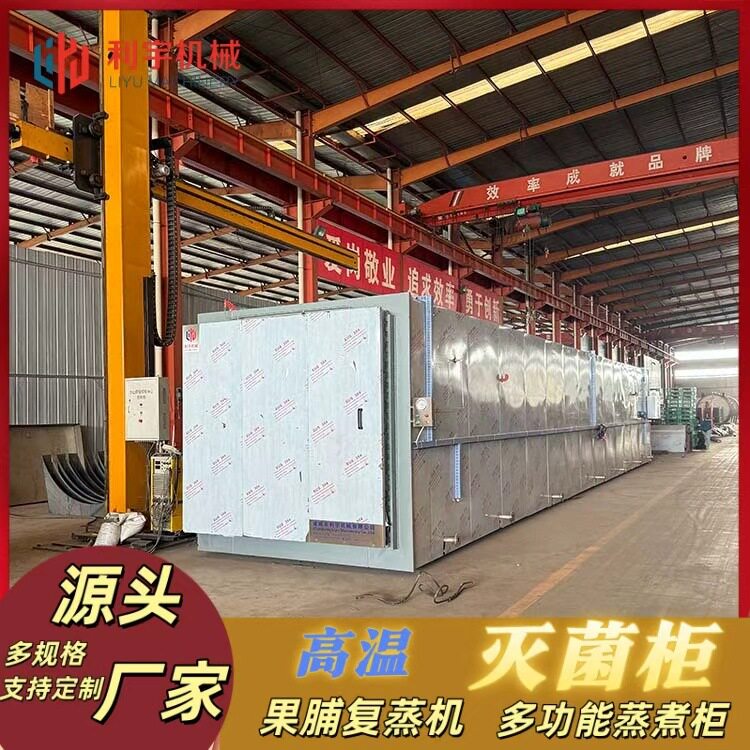食用菌蒸汽式灭菌柜新疆果脯果干复蒸机多规格不锈钢蒸煮柜
