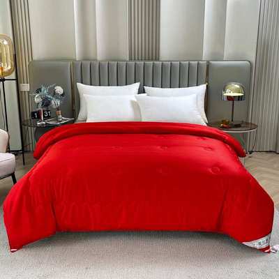 婚庆蚕丝棉被桑蚕丝结婚冬被加厚保暖被子被芯红色喜被双人陪嫁被