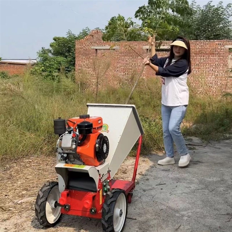 便携式移动多功能铡草树枝秸秆粉碎机汽油柴油新式园Z林干湿两用