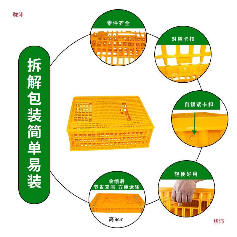 加厚鸽鸡训CXS鸭鹅家料禽运输笼耐老化工程塑笼鸡周箱筐信鸽子放
