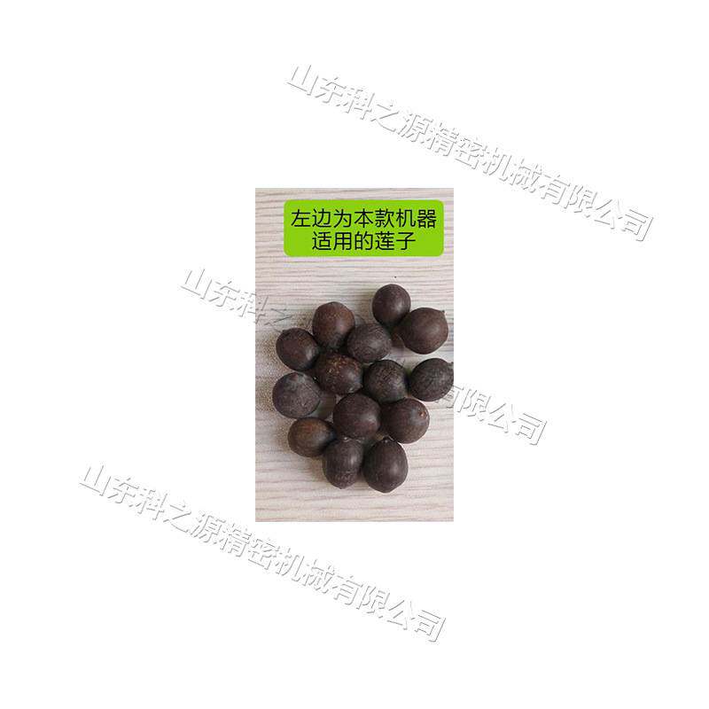 部件旋转使莲子甩出设备 湘莲老莲蓬剥粒机 电动仿手工莲蓬脱粒机
