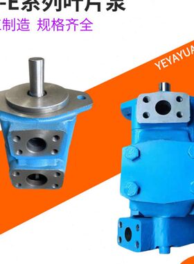 YB-E16 E6.3 E12叶片泵E10 E20 E25 E32 YBE 40 E50 E63 E80 E100