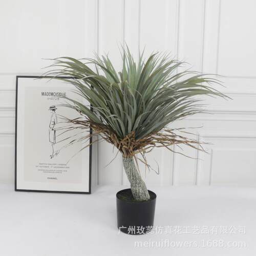 精室选货仿真铁龙舌兰龙树植物美洲客厅玄关绿AL650644植现内摆件