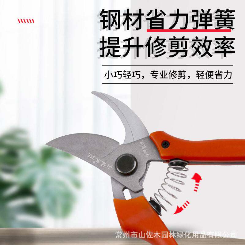 31E 园林工具剪树枝修枝剪 园林修枝剪户外 多规格果树枝剪树枝剪