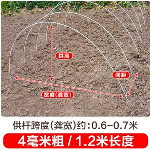 新型小拱棚支架菜棚拱杆蔬菜地保温棚玻璃钢实心玻璃纤维农用育苗