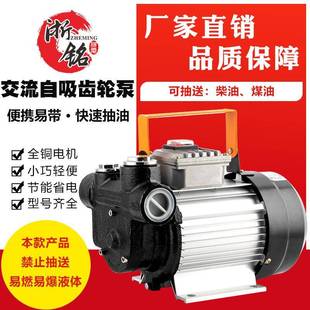 抽油泵220v煤油柴油机油齿轮油液压油泵大功率大流量齿轮泵