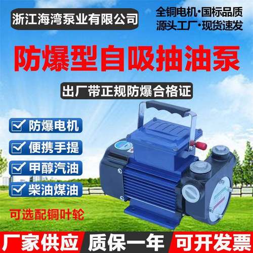 DYB-80手提式防爆电动抽油泵220V大流量甲醇汽油柴油自吸式加油泵