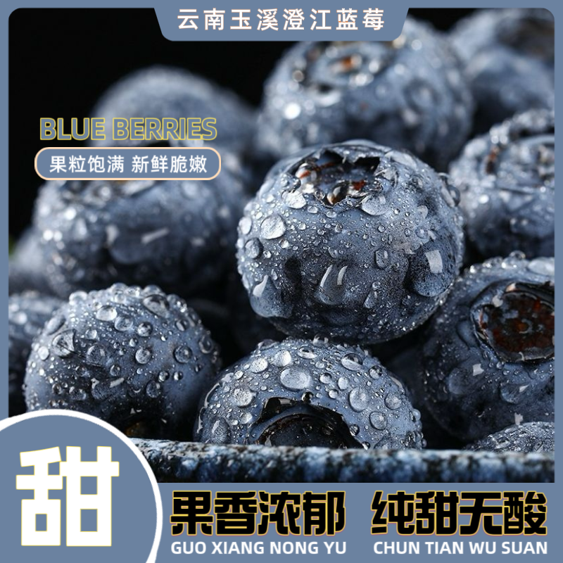 云南澄江抚仙湖蓝莓25号花香脆甜爆汁果王基地直发顺丰空运到家