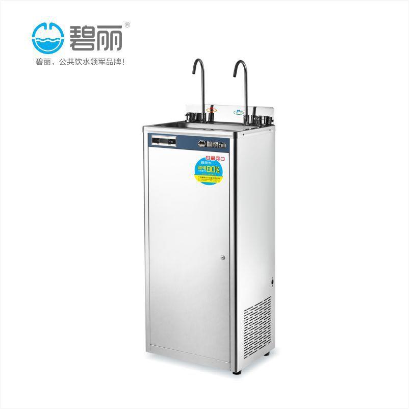 商用饮水机冰水王直饮机全自动步进式商用车间开水器（B-2）
