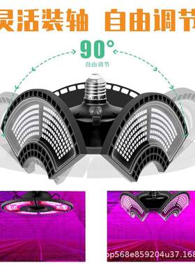 谦照明LED植物生长灯27红蓝光谱折叠植65565物大棚防润水育苗种灯