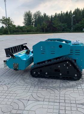 全园自动控割草机遥控EQY式草果坪剪草机出口品遥质除草机