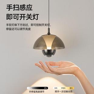 苞床头小吊灯升降卧室床头灯花灯025年新款 2吊307全光谱护眼客厅