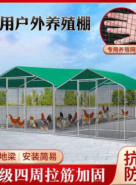 户外鸡棚NMW鸡养鸡鸽笼家搭禽大型雀挡风防孔雨鸡舍笼建家用养殖