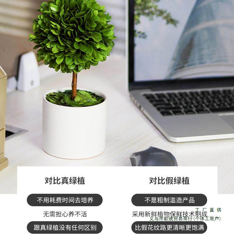 办公宅室工位桌面绿居植F9675S85上情绪稳定客厅旺植物小摆件家装