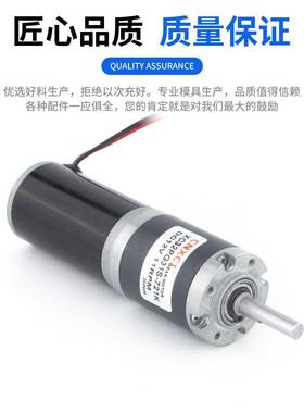 直流减速电机C39682PG31S行轮星齿低速大扭矩微小型速调马达12V2X