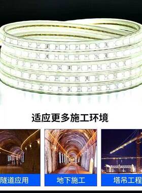 低v米压灯带3v24白62光暖光LED灯条户外防水隧道养殖场亮6化装饰1