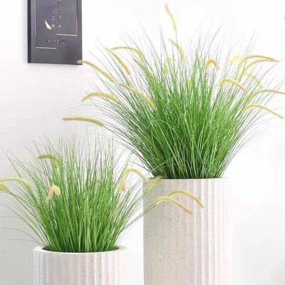 真芦苇苇草盆蒲栽婚摆庆家居装仿CH-lvc03饰件狗尾巴草仿真干花落
