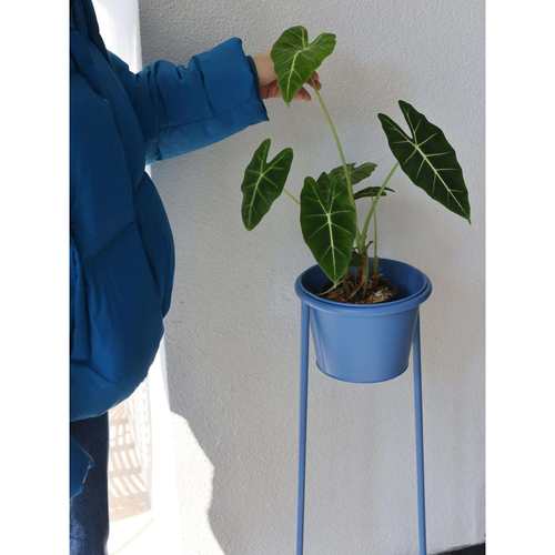 R*嘻物所普鲁士蓝色花架室内极简约设计阳台花盆客厅现代铁可移动