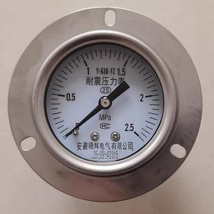 表盘直径60 FZ耐震压力表轴向带边安装 63B