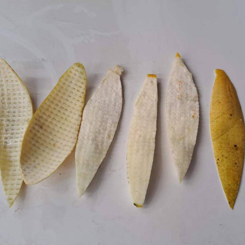 红肉沙田柚子去皮机 全自动蜜柚剥表皮机厂家 输送带果蔬刮皮机