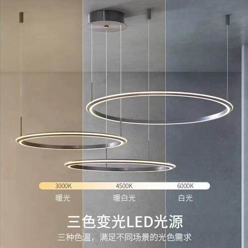 卧客厅跨吊灯现代极简约大气2025年新款轻奢主餐厅189圆环形灯具