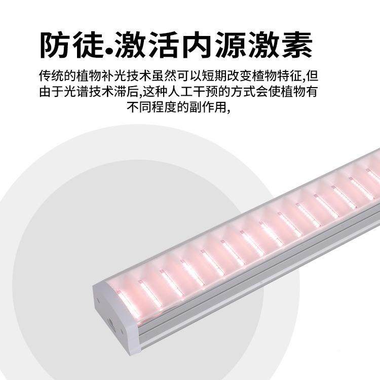 T20肉补多光灯家用上E全光谱LD植色物生长灯BGB仿太阳光兰花卉水