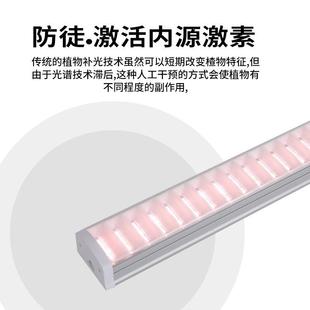 T20肉补多光灯家用上E全光谱LD植色物生长灯BGB仿太阳光兰花卉水
