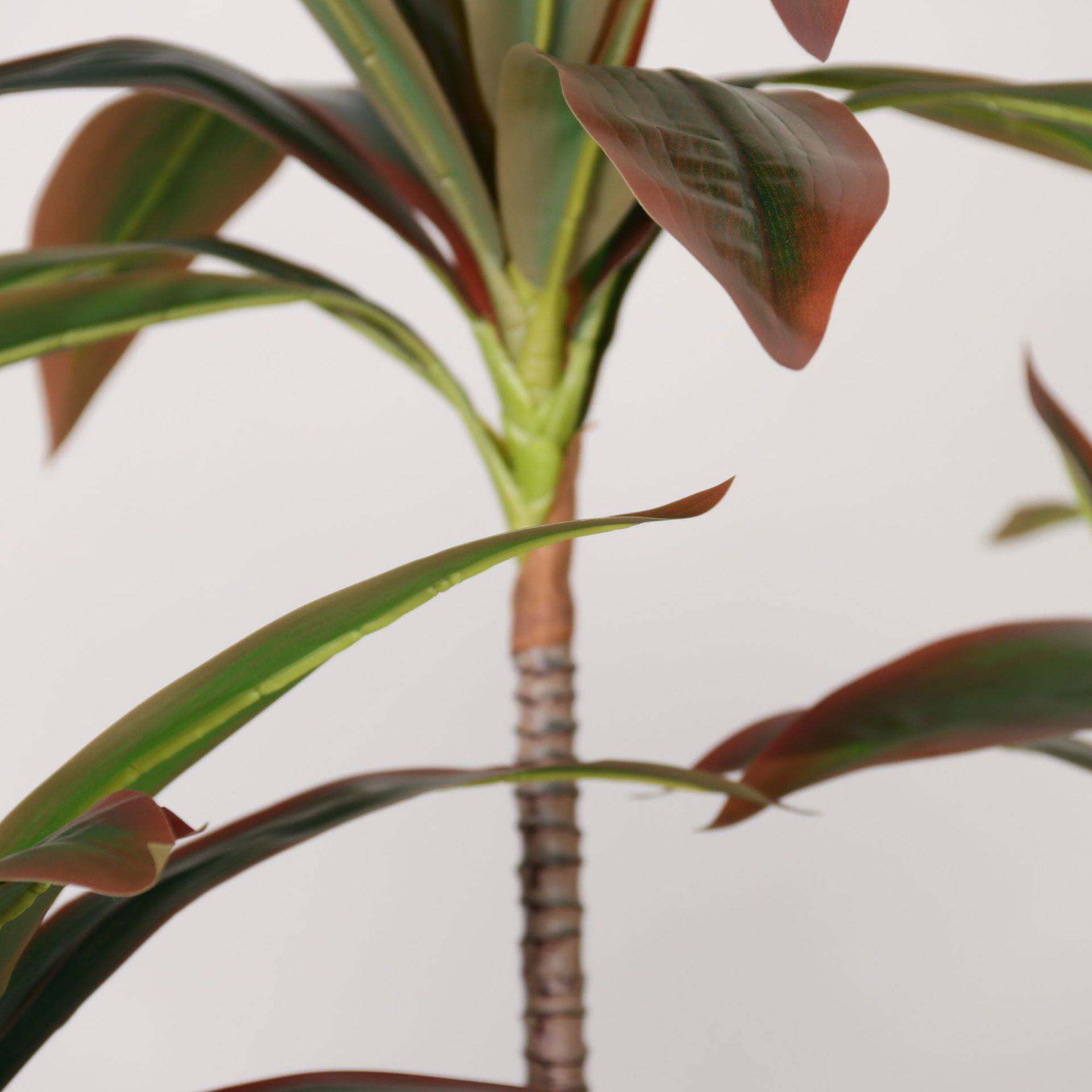 亚马逊新款仿真绿植仿真红色巴西木巴西铁富贵叶仿真植物造景盆栽