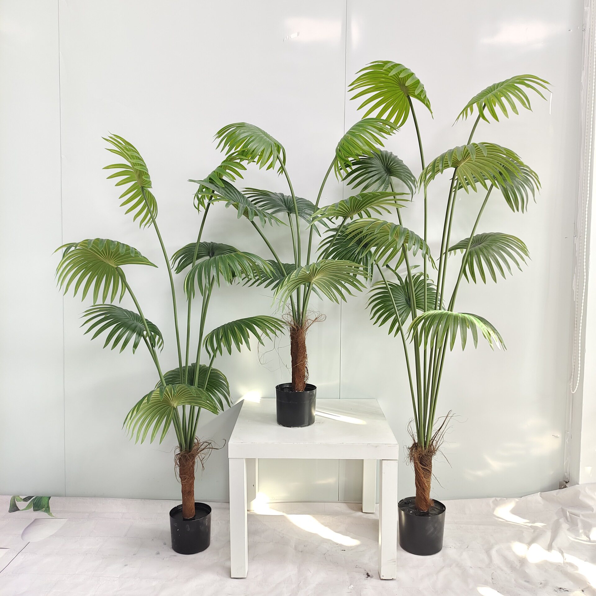家居饰品仿真植物装饰假绿植盆栽摆件仿真棕扇葵小扇葵现货盆景