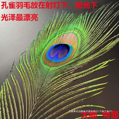 羽新中式家饰品居摆件孔雀毛陶厅瓷落QIV地花瓶工艺品客装饰