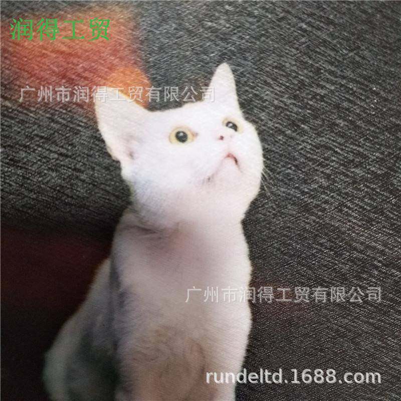 PV膜C画蚕丝冷膜一卷起批保护膜影楼相片膜写真装63.5cmx裱饰框标