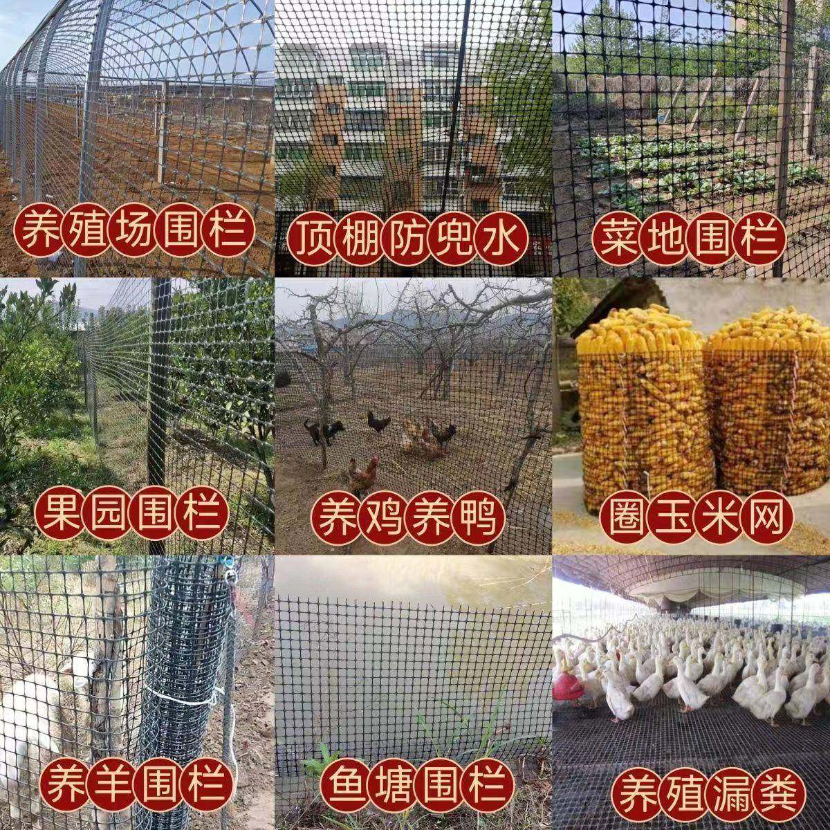 黑土PP色塑料格栅路基增强边坡防LOM护加筋加向固双拉伸工厂家护