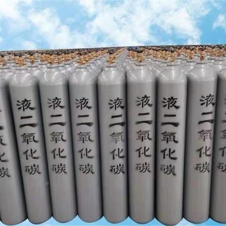 氧化无缝钢瓶气碳瓶10二L1CO25L升40养鱼水族水草c02二保焊钢瓶