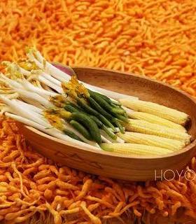 日式实木形碗创山缓缓船火RLT锅店同款意特色金针茹菌类素拼菜盘