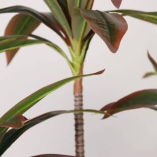 仿真绿植亚马逊款仿真西绿植叶仿真红色巴新木巴西铁富贵仿真植物