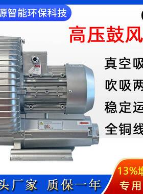 2GH 510-H26曝气高压旋涡风机上料机输送高压风机 吸附风机真空泵