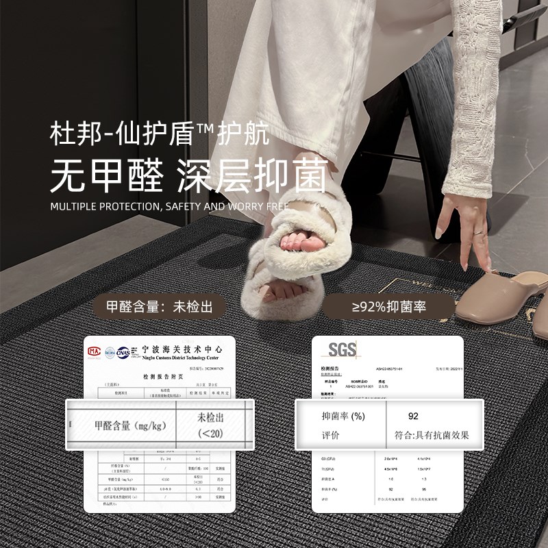 高级感入户门口地垫耐脏防滑家用踩脚垫别墅大门门口可定制脚垫子