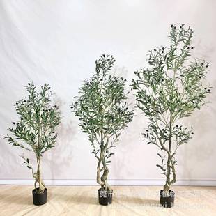现货真绿仿植橄榄树盆栽北仿欧风客厅餐饮店落地HZP020真凤葵尾假