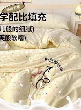 水洗暖棉被子冬被2025新水洗棉-厚款春秋被加保生被芯学单人被四