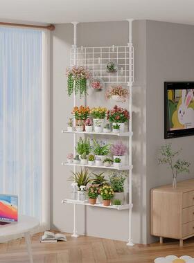 多肉花架置物架层架放顶天42325立地客台厅支撑杆展示阳架室内植