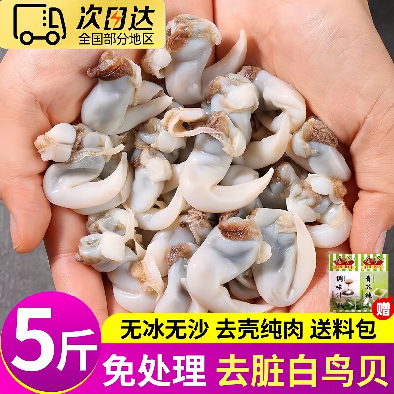 白鸟贝肉新鲜冷冻特大号黄鸟贝肉去脏无冰无沙批发海鲜捞汁顺丰