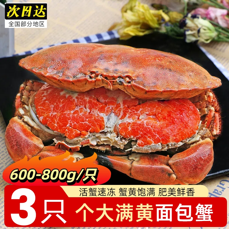 面包蟹深海捕捞新鲜速冻螃蟹