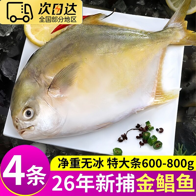 金鲳鱼大号鲳鱼鲜活新鲜冷冻海鱼金昌鱼平鱼银鱼白鲳鳊鱼冰鲜镜鱼