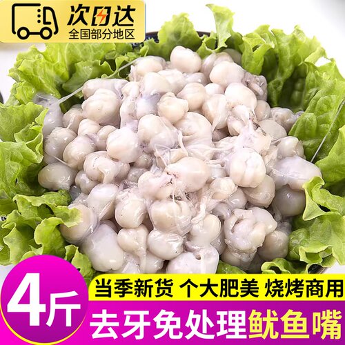 冷冻去牙大号鱿鱼嘴日料烧烤顺丰