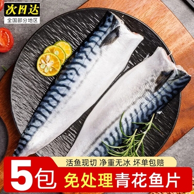 大海十三免处理青花鱼片
