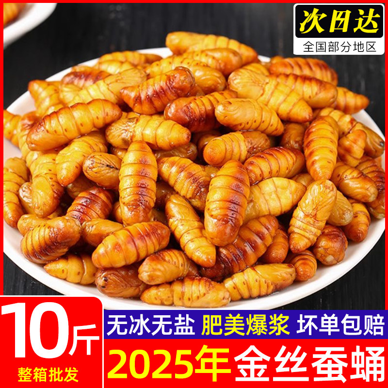 新鲜金丝蚕蛹山东特产