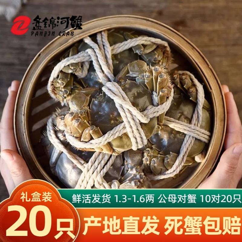 盘锦稻田河蟹大闸蟹全母蟹