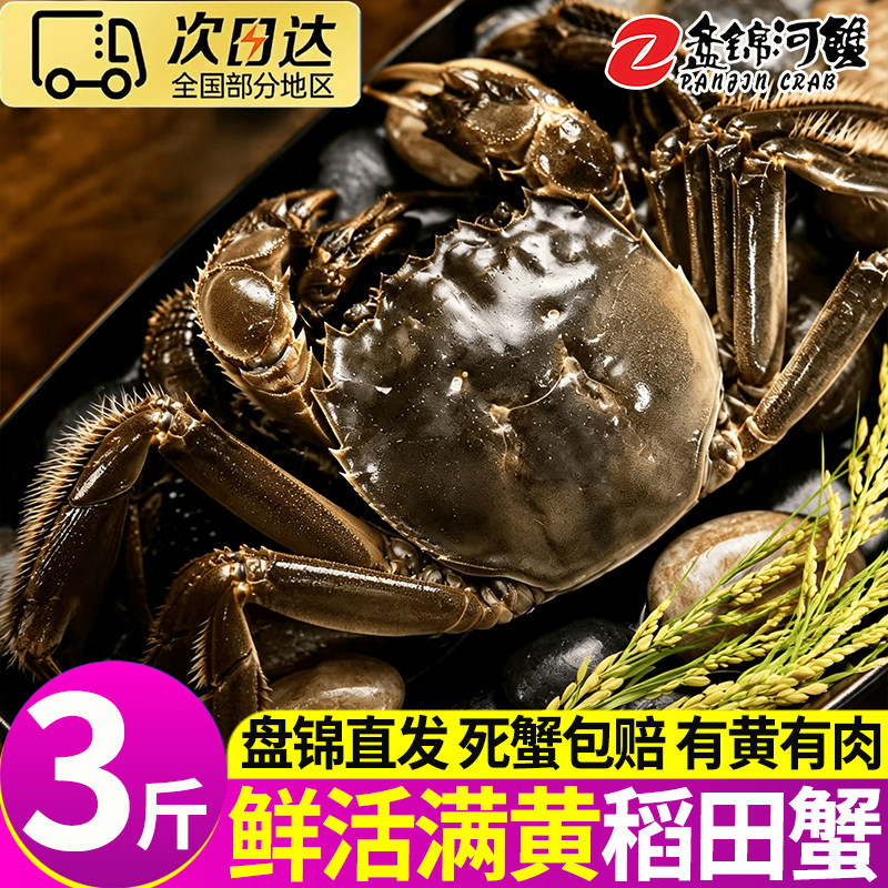 正宗盘锦稻田全母大闸蟹礼盒